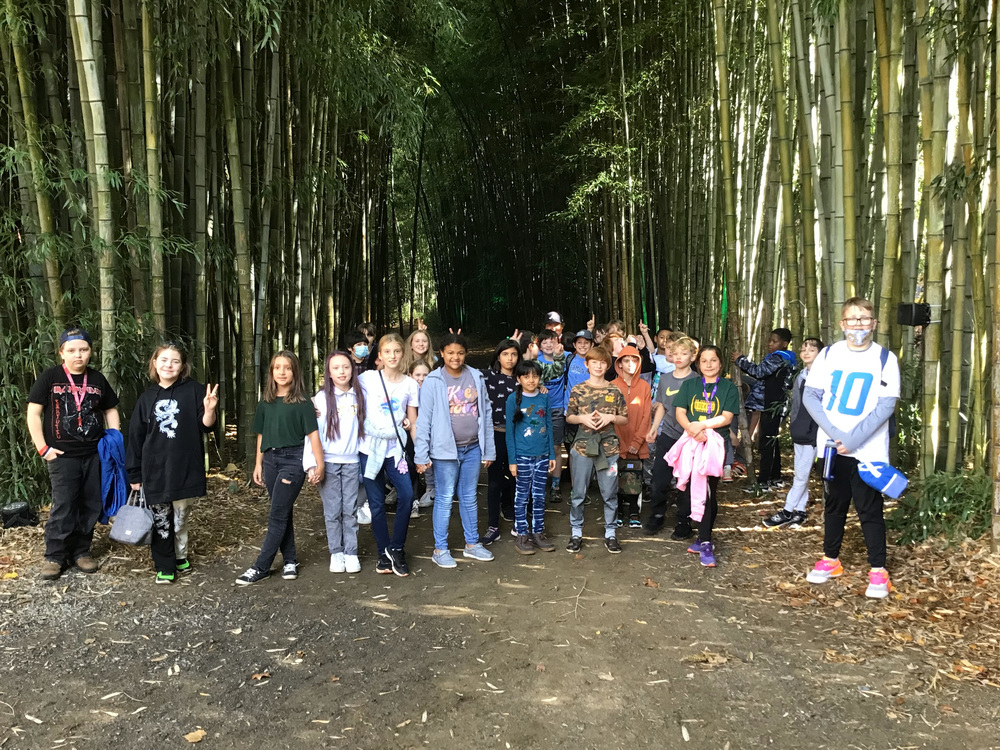Students standing in a bamboo forest in Cherokee.