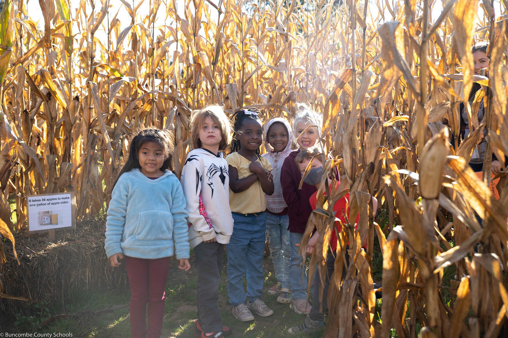 Students in the corn maze at Stepps Hillcrest Orchard