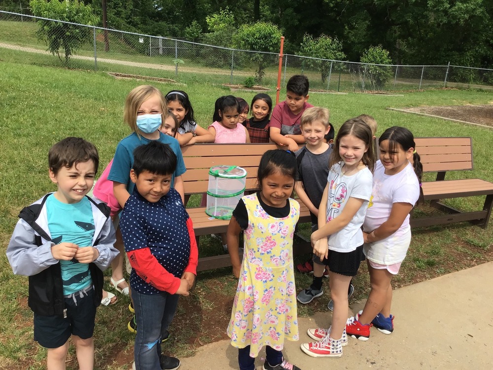 Mrs Luther's class learns about Butterflies