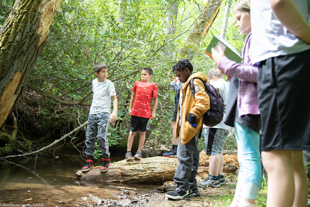 Students exploring the ecosystem around Bent Creek.