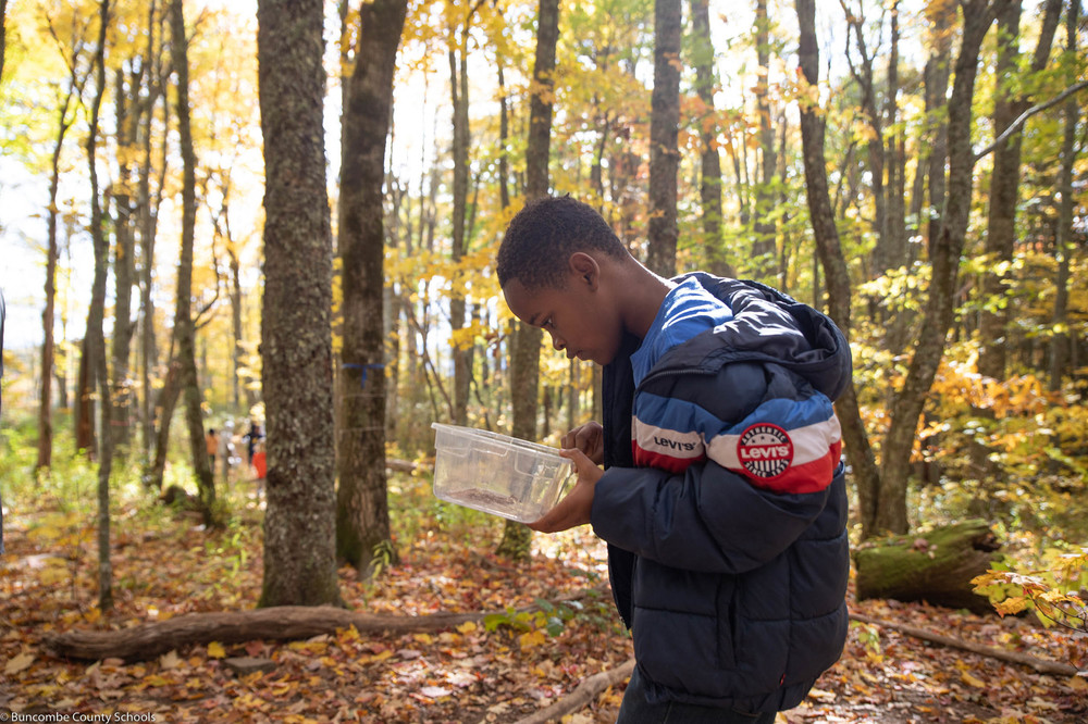 Student observing insects at Purchase Knob.