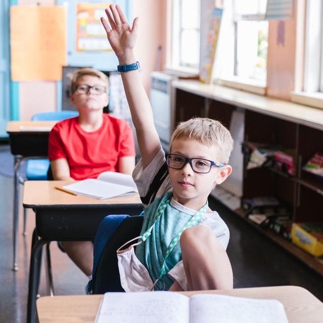 boy raising hand in class