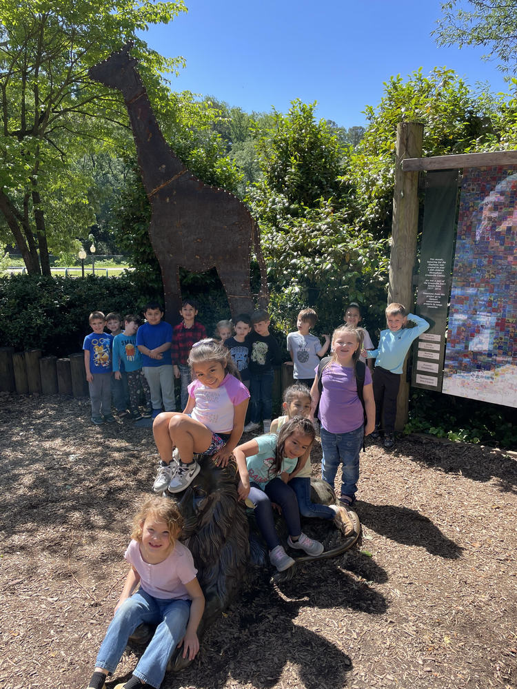 Kindergarten's Trip to the Zoo!