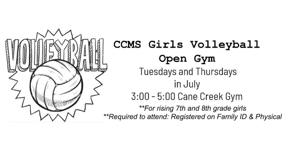 Volleyball Open Gym