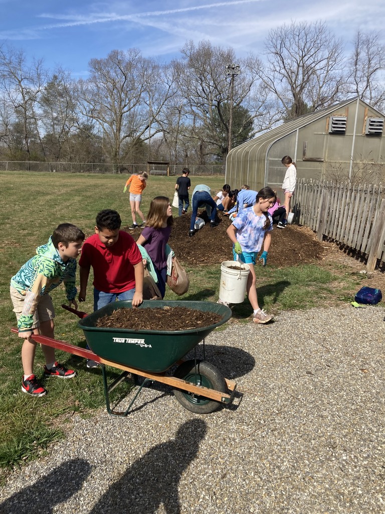 students mulching garden