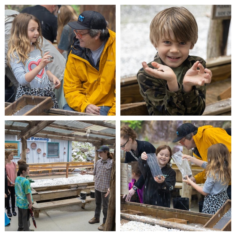 Collage of photos from field trip