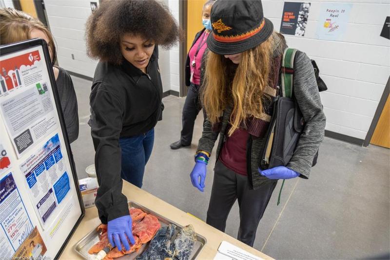 Student touches pig lung