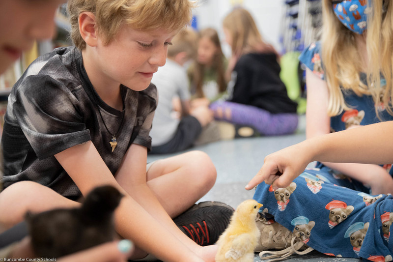 Students spending time with baby chicks by holding and petting them.