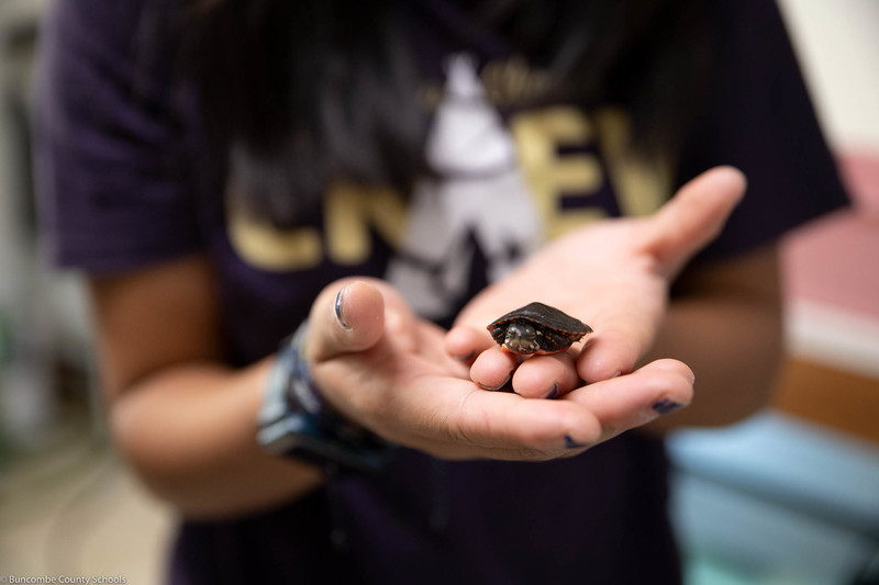 Mia holding a turtle at Appalachian Wildlife Refuge.