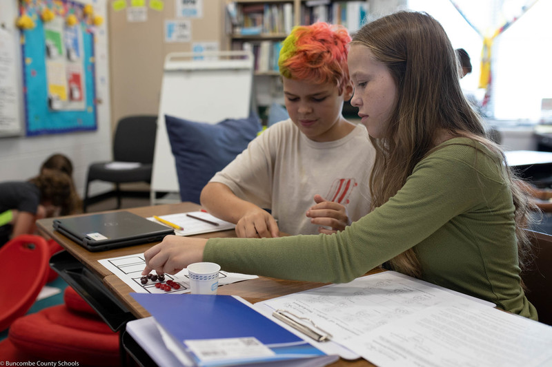 Students working on assignment in pairs. 