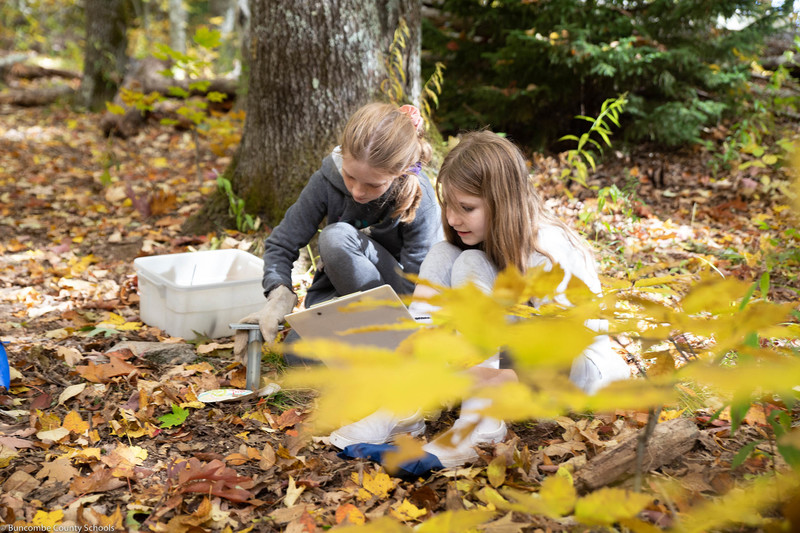 Students studying the soil in the woods. 