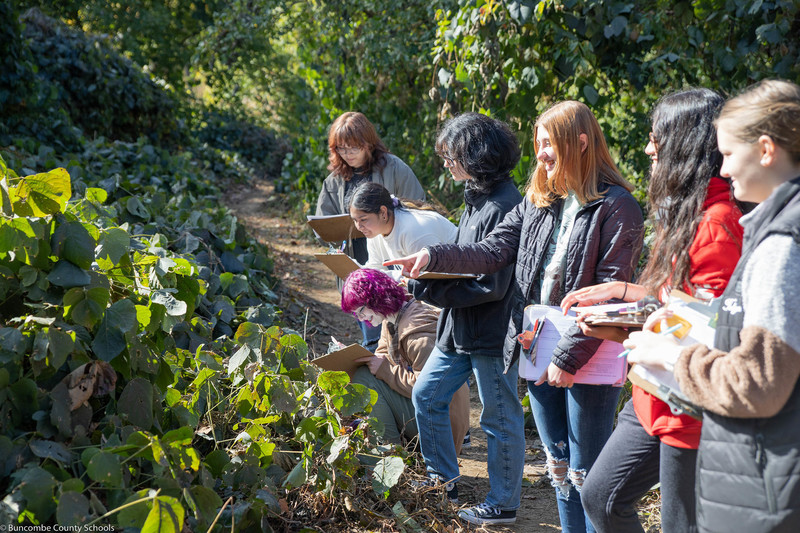 Students studying the invasive plant kudzu in the park.