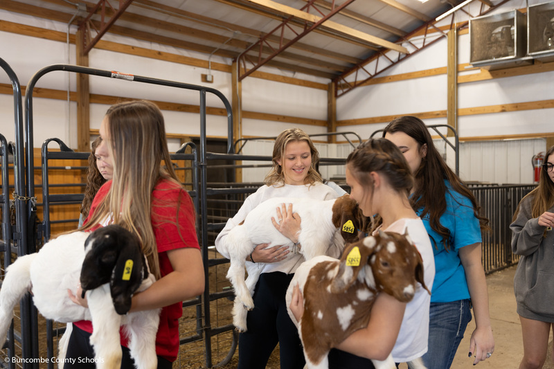 Students carrying the goats so they can be weighed. 